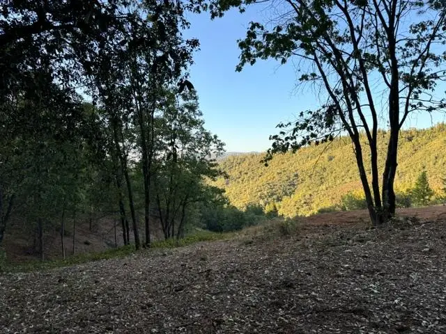 5927 Black Quartz Rd, Murphys, CA 95247 - #2