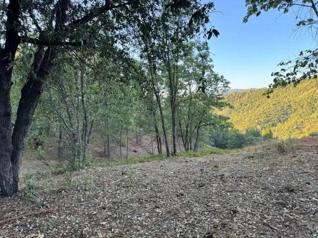 5927 Black Quartz Rd, Murphys, CA 95247 - #3