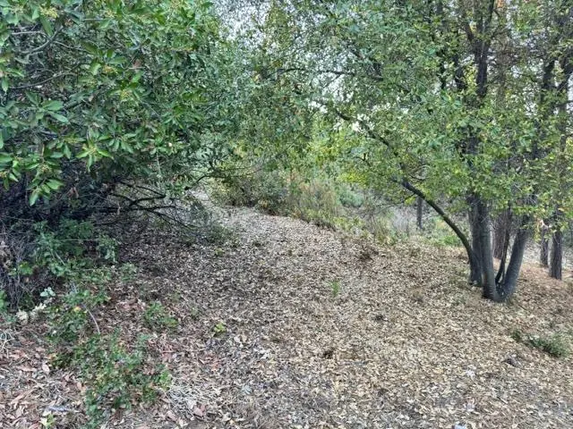 5809 Black Quartz Rd, Murphys, CA 95247 - #1