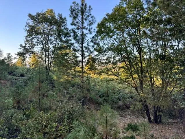 5809 Black Quartz Rd, Murphys, CA 95247 - #2