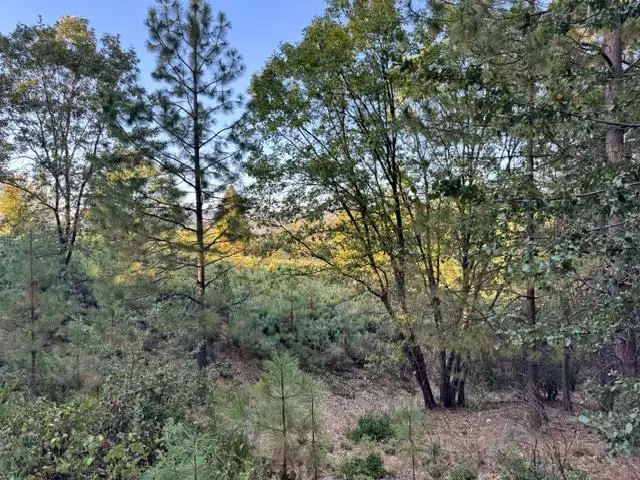 5809 Black Quartz Rd, Murphys, CA 95247 - #3
