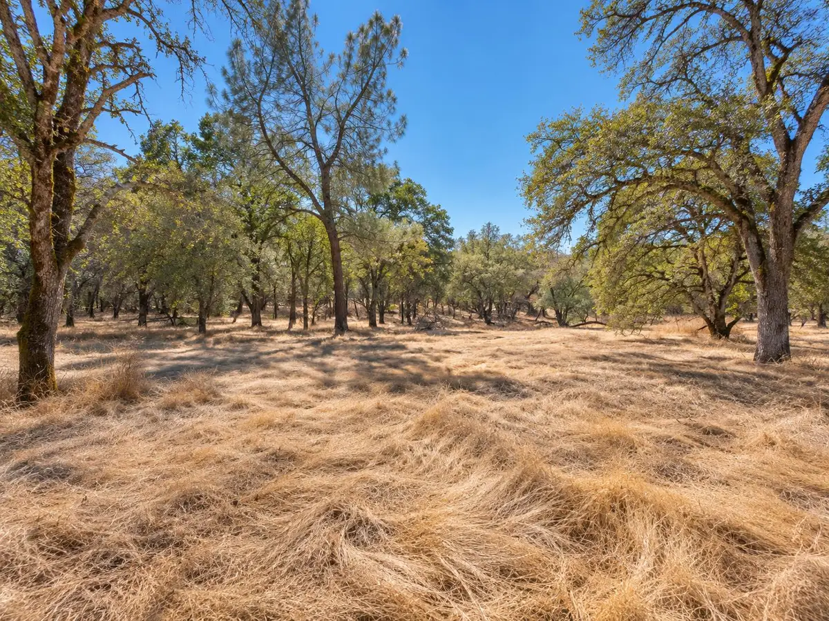 1001 Old Airport, Auburn, CA 95603 - #1