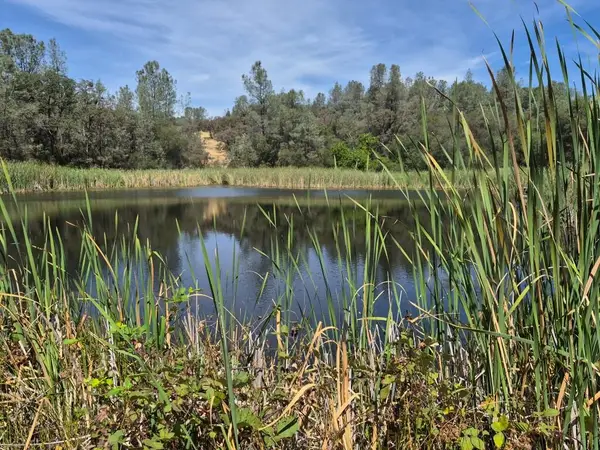 16791 Harmony Hills Way, Grass Valley, CA 95949