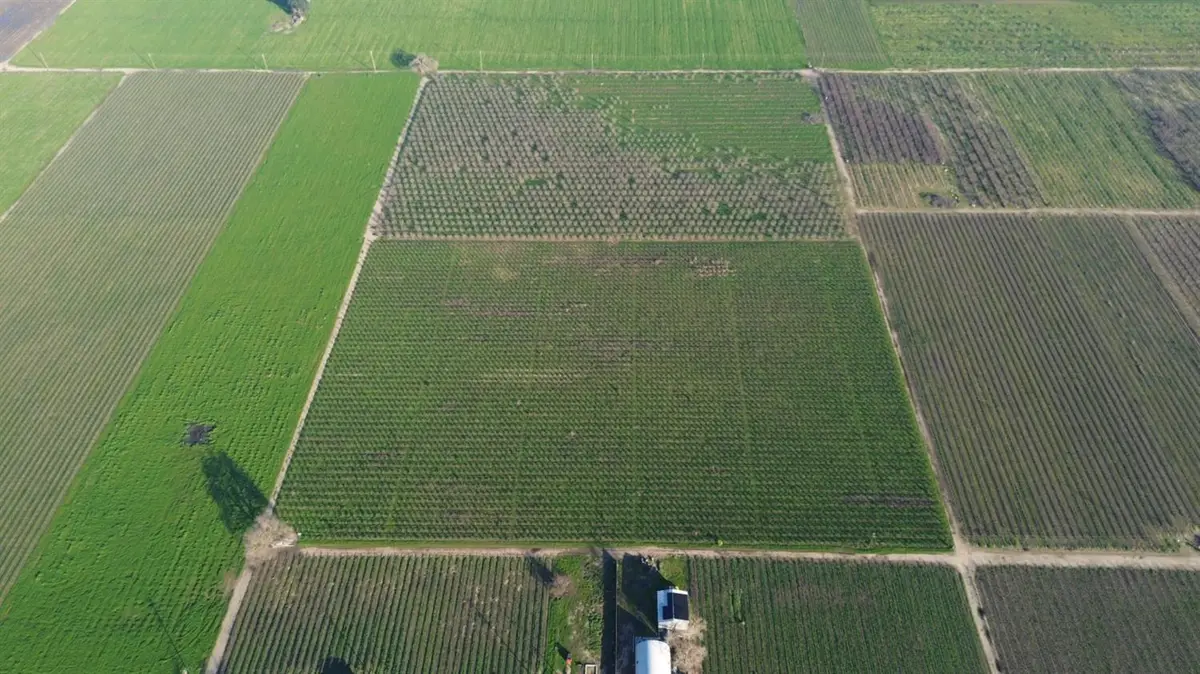 15910 N Locust Tree Road, Lodi, CA 95240 - #1