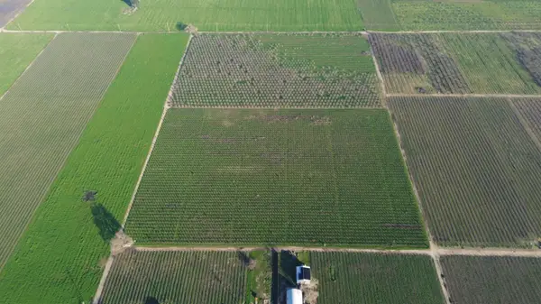 15910 N Locust Tree Road, Lodi, CA 95240