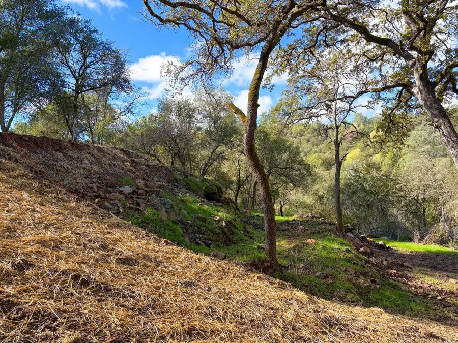 0 Lorrain Street, Shingle Springs, CA 95682 - #3