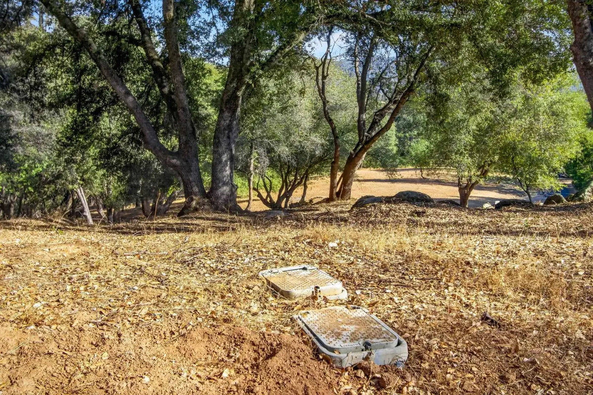 5 Oak Leaf Court, Placerville, CA 95667 - #1