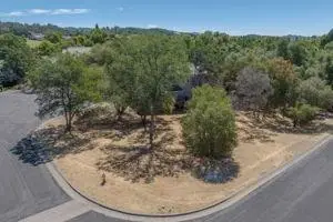 545 Rock Forge Loop Loop, Angels Camp, CA 95222 - #1