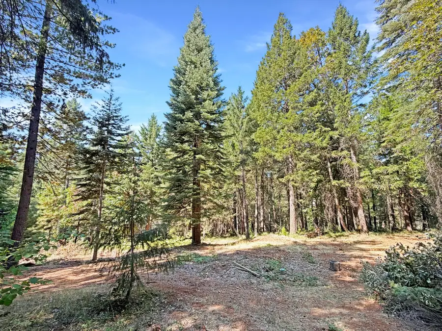 12606 Green Lee Woods Lane, Nevada City, CA 95959 - #3