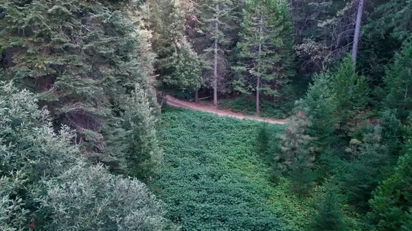 10466 N Slope Trail, Camptonville, CA 95922