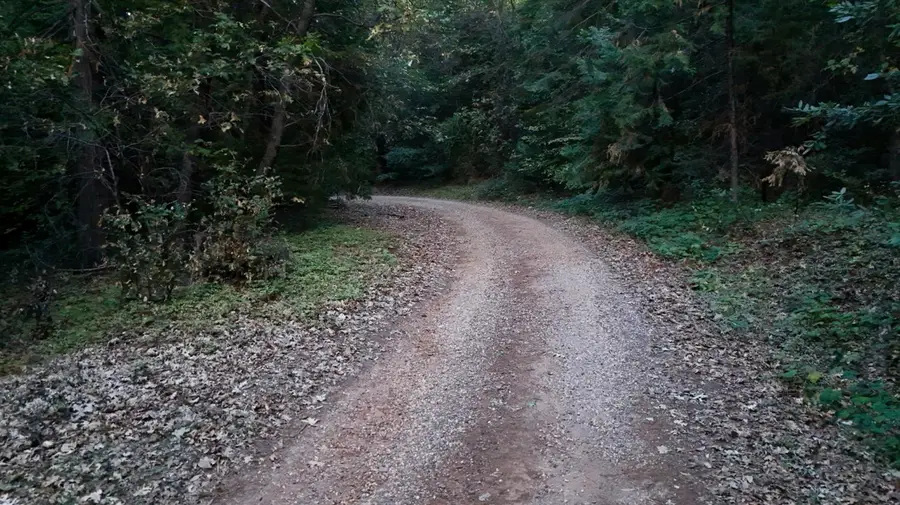 10466 N Slope Trail, Camptonville, CA 95922 - #2