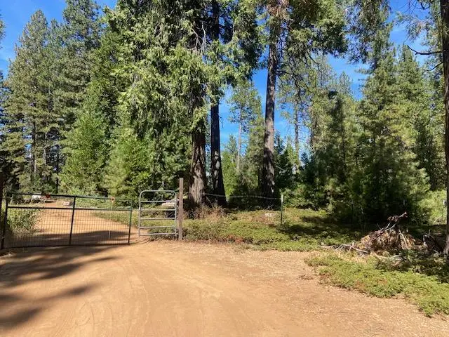 27597 State Highway 88, Pioneer, CA 95666 - #1