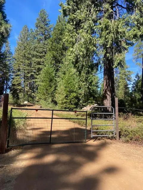 27597 State Highway 88, Pioneer, CA 95666 - #2