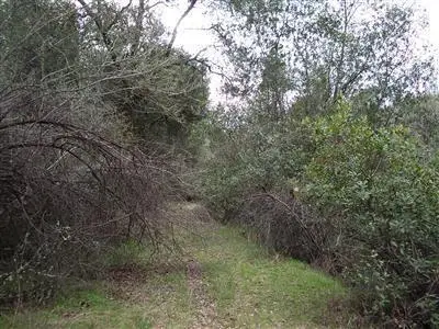 3701 Starburst Lane, Placerville, CA 95667 - #1