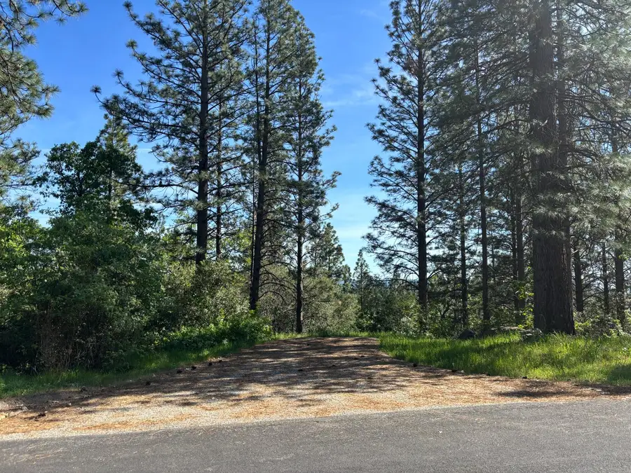 4135 Ampezo Place, Foresthill, CA 95631 - #2