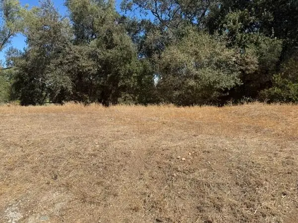 162 Goldenwest Court, Valley Springs, CA 95252