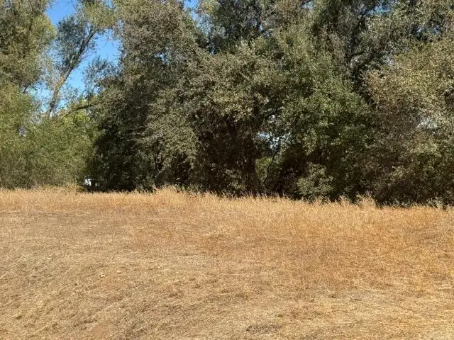 162 Goldenwest Court, Valley Springs, CA 95252 - #2