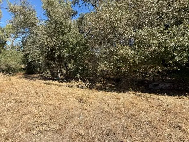 162 Goldenwest Court, Valley Springs, CA 95252 - #3