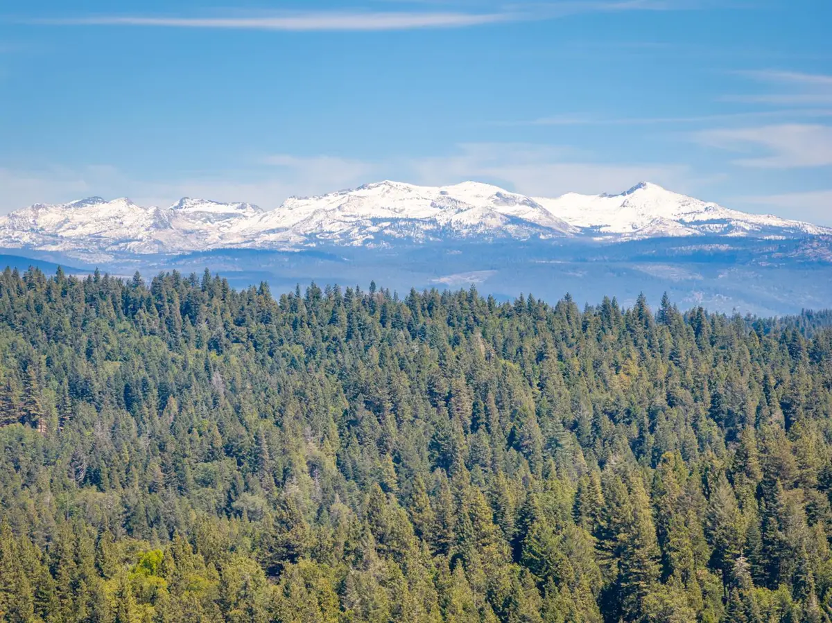 6420 Starkes Grade Road, Pollock Pines, CA 95726 - #1