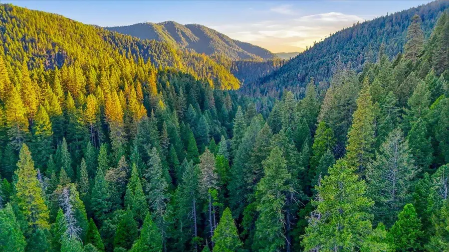200 Craycroft Ridge Road, Downieville, CA 95936 - #3