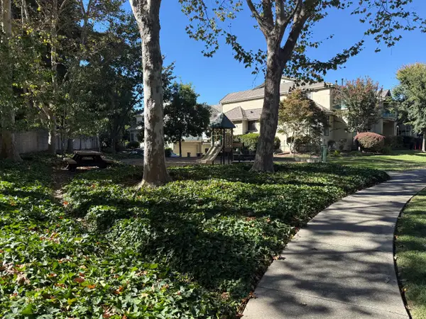322 Borel Lane, Danville, CA 94526
