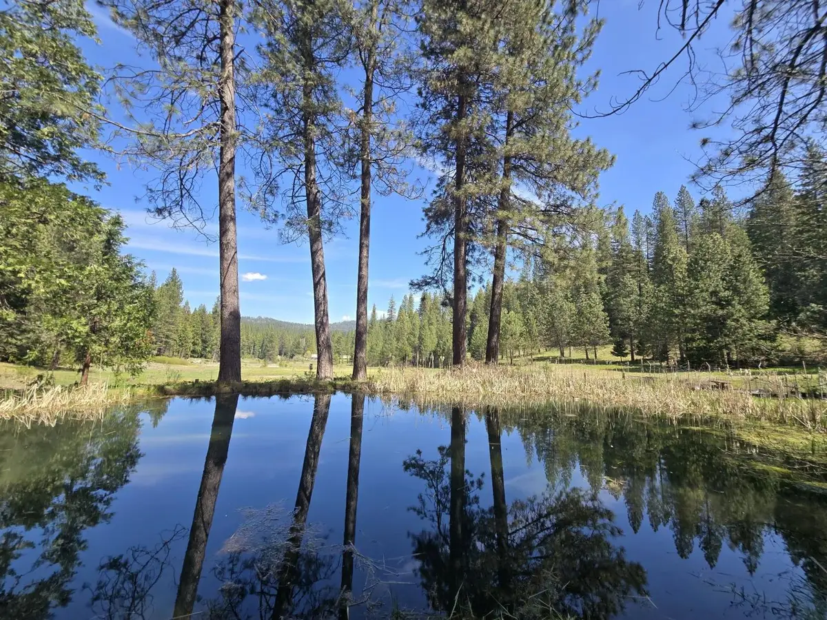 1273 Blagen Road, Arnold, CA 95223 - #1