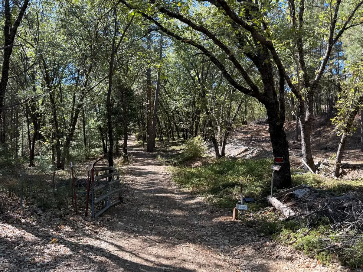 1740 Jurs Road, West Point, CA 95255 - #1