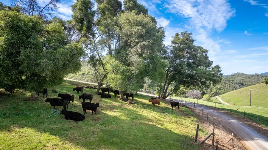 12420 Highway 26, Mokelumne Hill, CA 95245 - #2