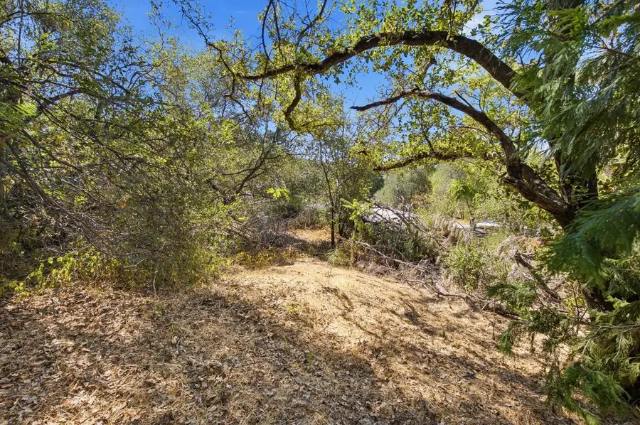 163 Kenmass Avenue, Auburn, CA 95603 - #3
