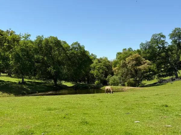 0 Airola Road, Vallecito, CA 95251
