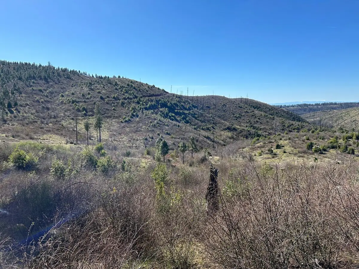 1234 Hog Ranch Road, Paradise, CA 95969 - #1