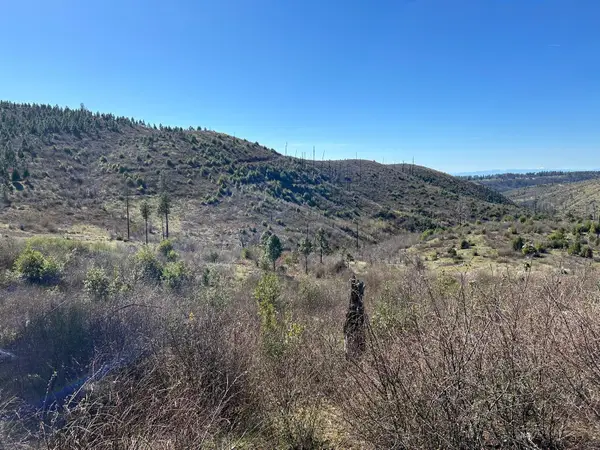 1234 Hog Ranch Road, Oroville, CA 95969