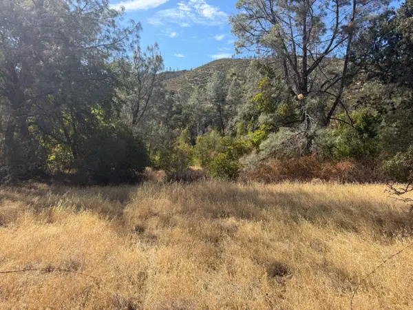 0 Goat Mountain Road, Stonyford, CA 95979