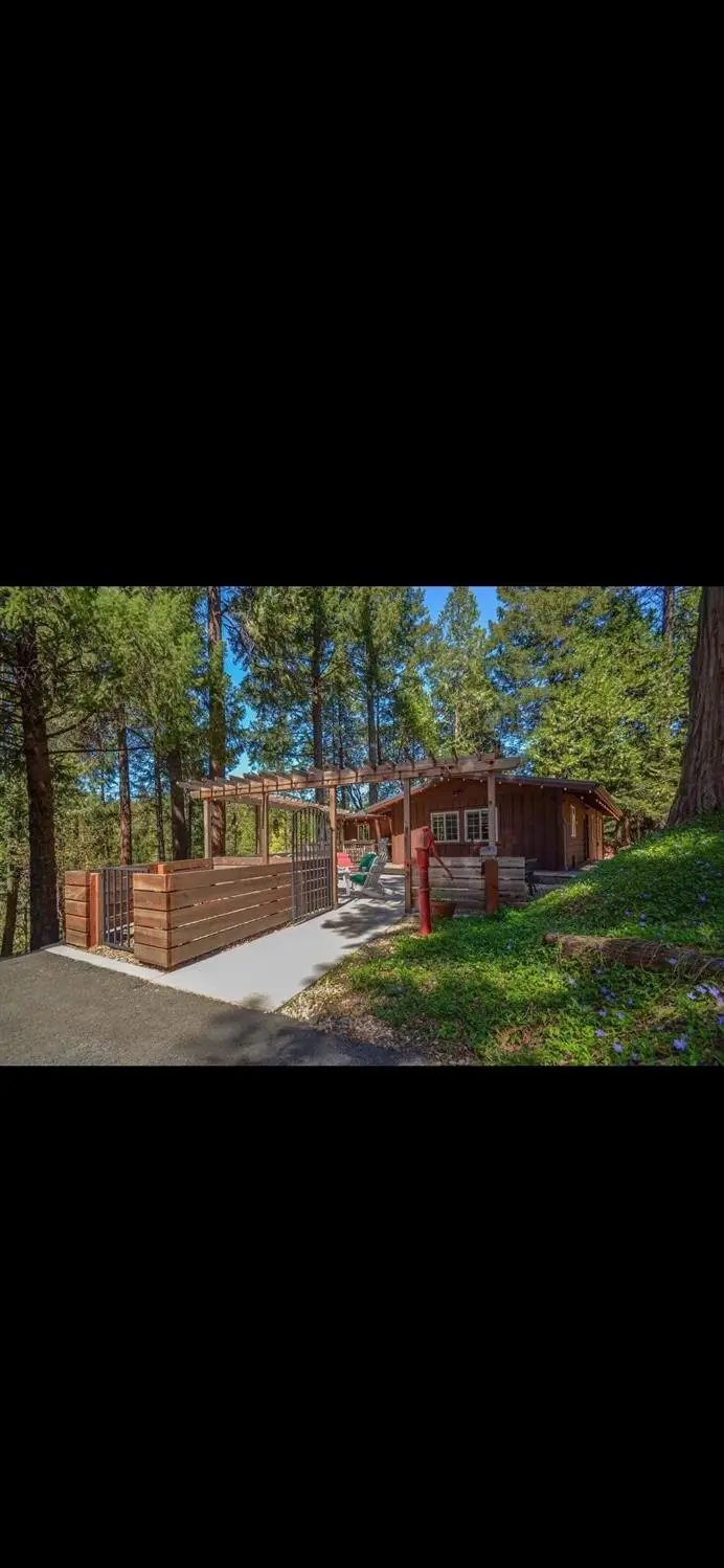 23445 Robin Road, Pioneer, CA 95666 - #1
