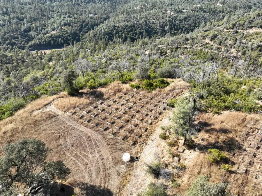 0 Canyon Creek, Berry Creek, CA 95916 - #2