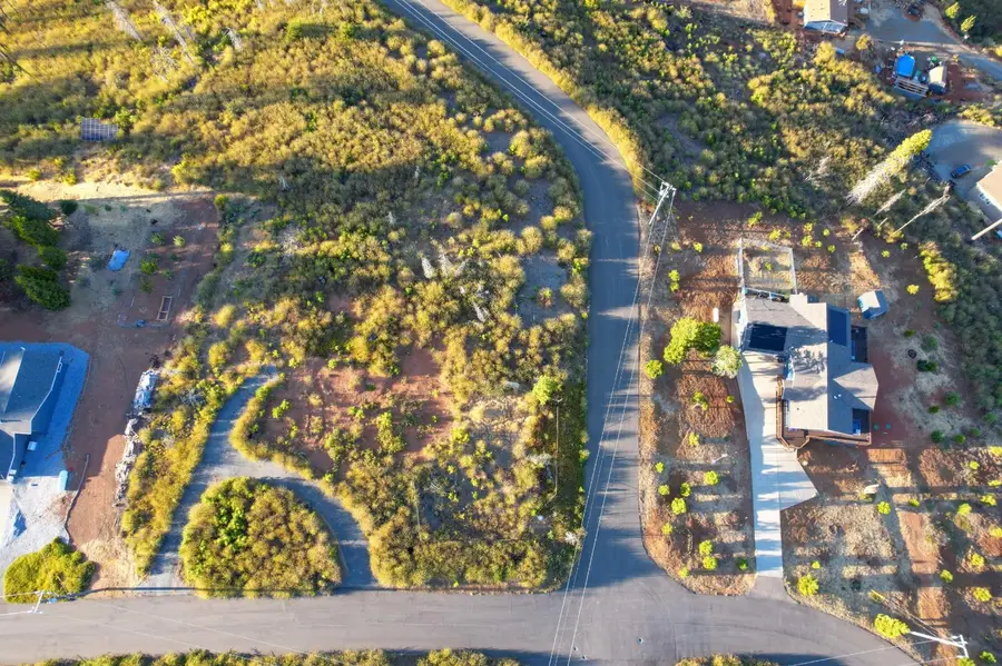 5082 Mount Pleasant, Grizzly Flats, CA 95636 - #3