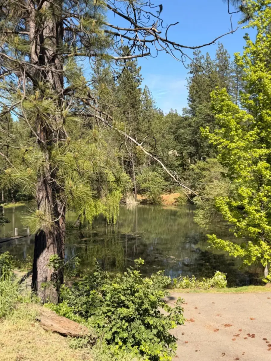 699 Tu Yu Mum Lane, Colfax, CA 95713 - #2