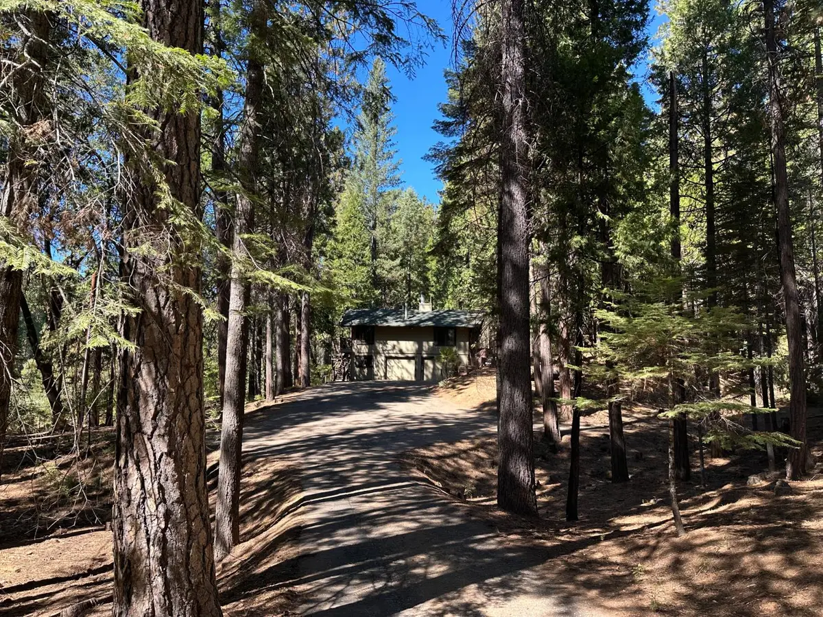 895 Meadow Drive, Arnold, CA 95223 - #1