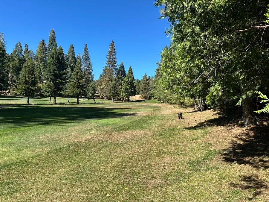 895 Meadow Drive, Arnold, CA 95223 - #3