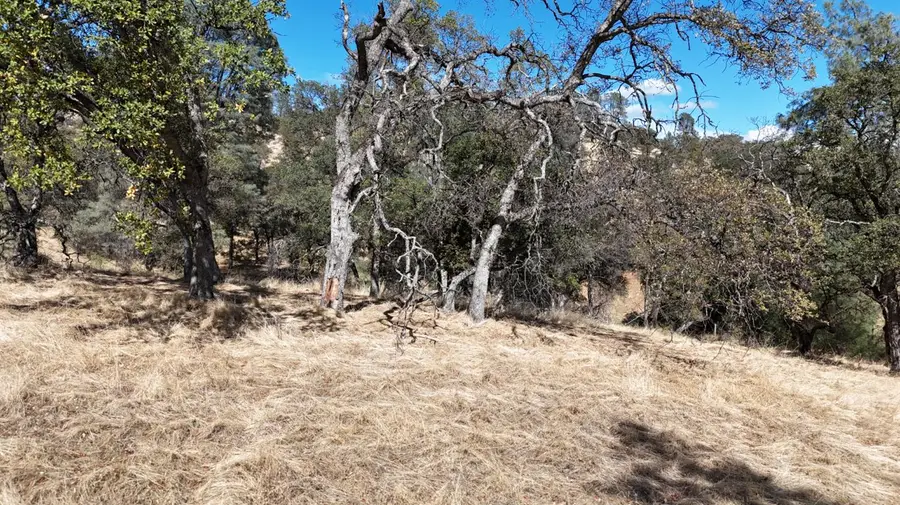 9816 Deer Hollow Trail, Browns Valley, CA 95918 - #3