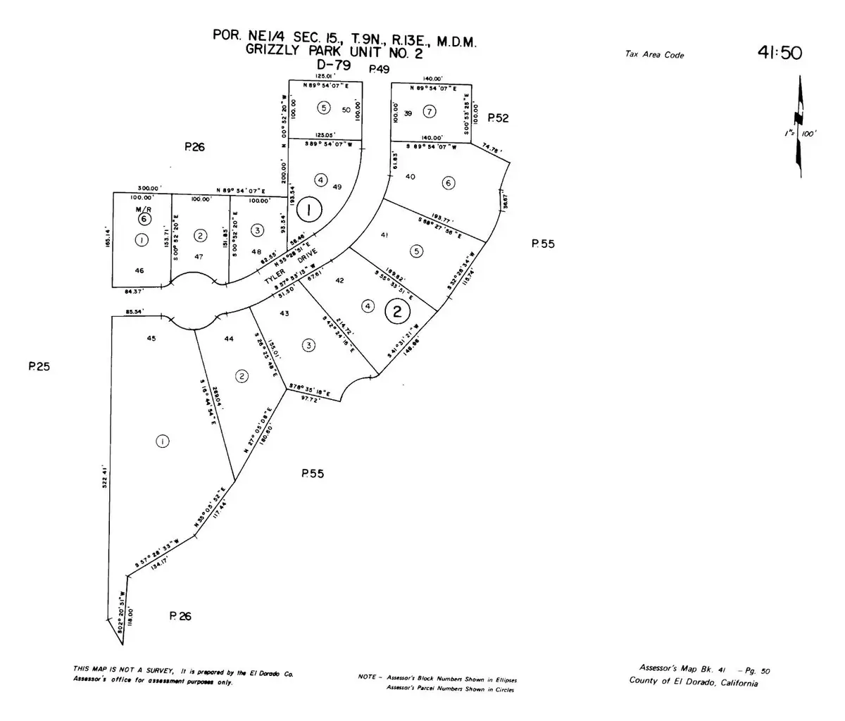 6692 Tyler Drive, Grizzly Flats, CA 95636 - #1