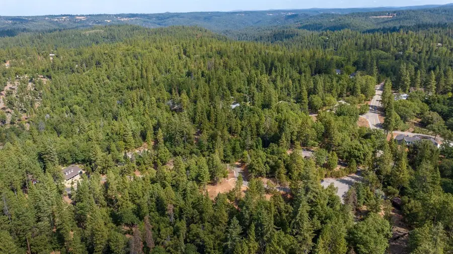 21285 Cottonwood Lane, Pine Grove, CA 95665 - #3