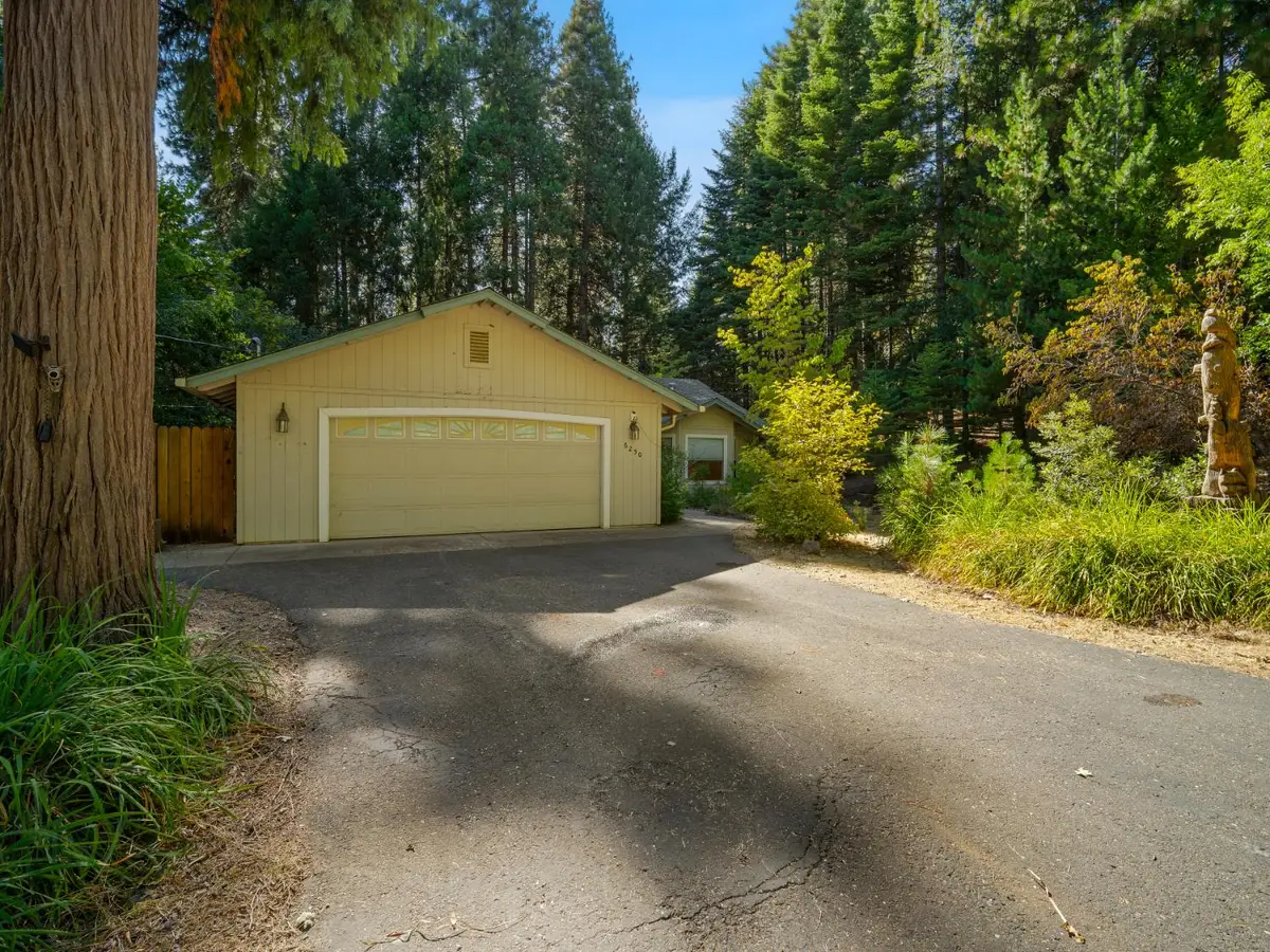 6250 Terrace Drive, Pollock Pines, CA 95726 - #1