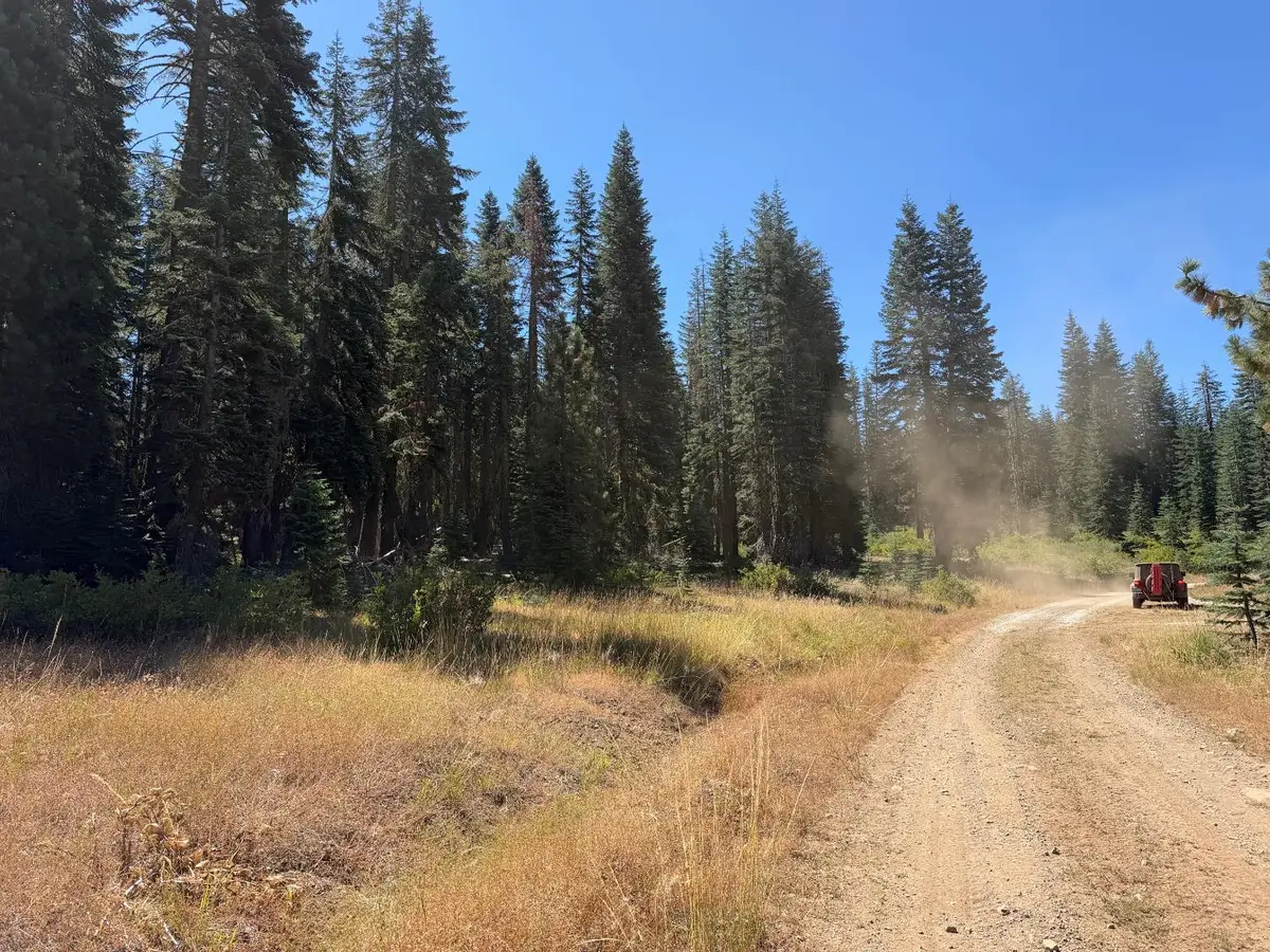 20 Blue Rock Trail, Dorrington, CA 95223 - #1