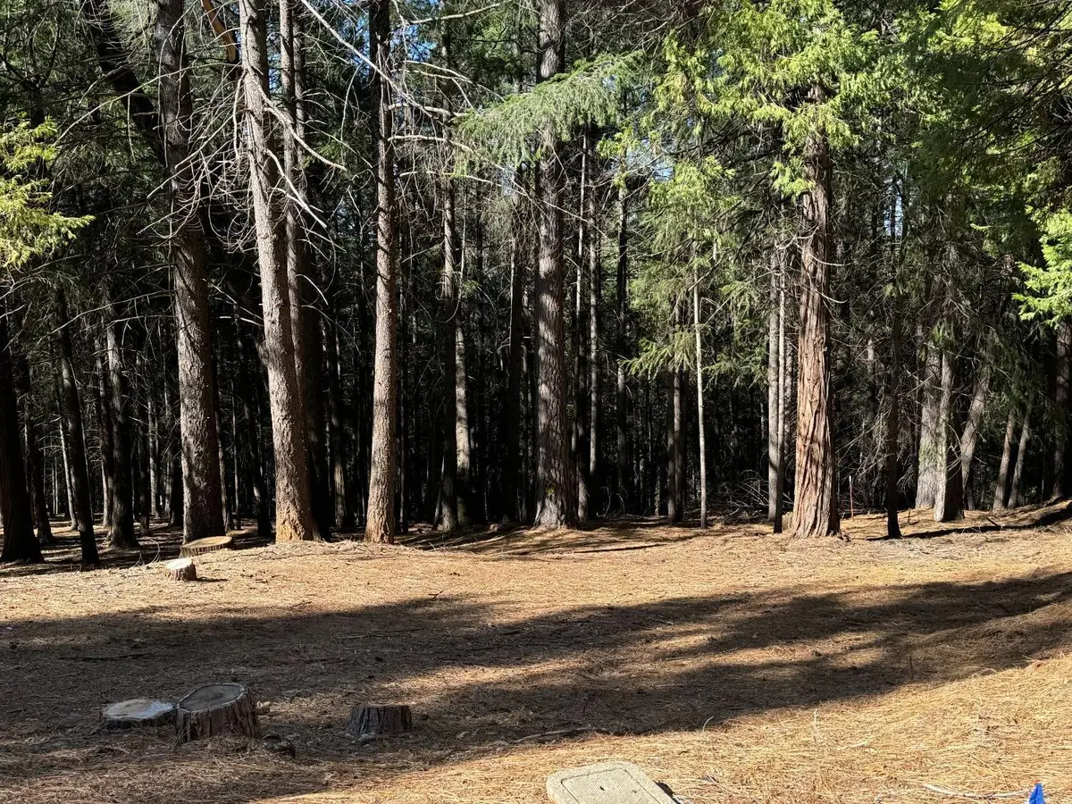 5771 Lupin Lane, Pollock Pines, CA 95726 - #1