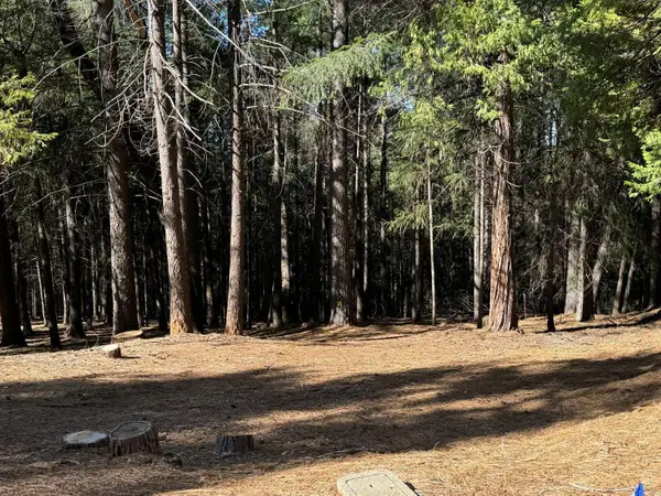 5771 Lupin Lane, Pollock Pines, CA 95726