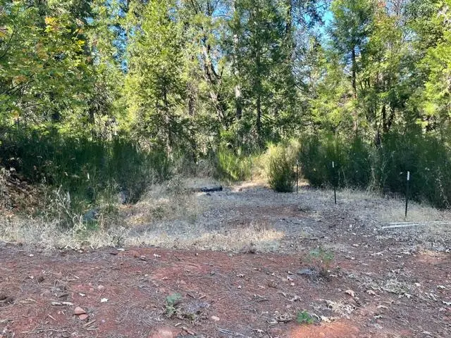 0 E Old Forbestown, Oroville East, CA 95966 - #2