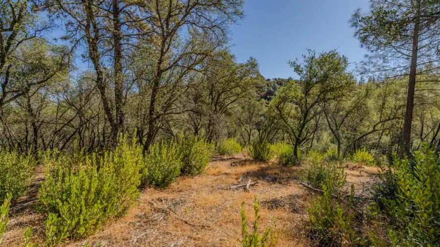 1 Bell Road, Plymouth, CA 95669 - #2