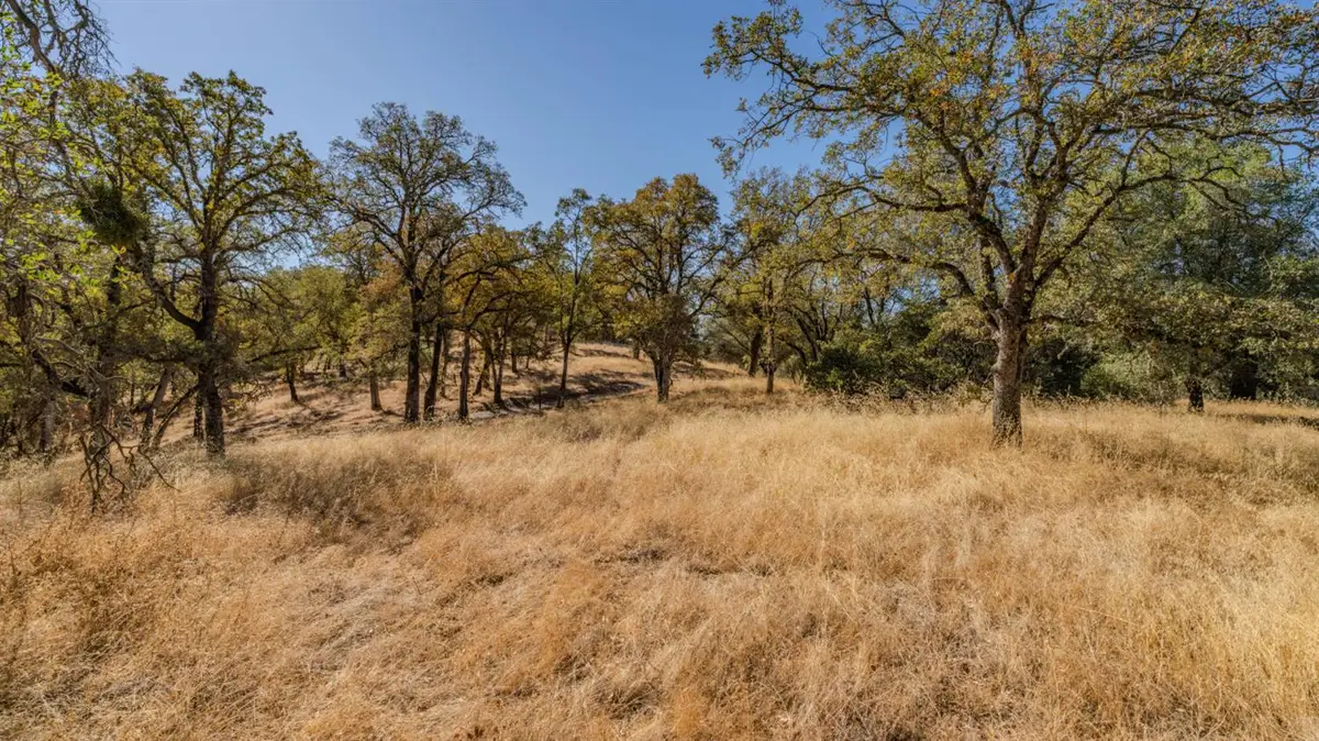 0 Bell Road, Plymouth, CA 95669 - #1