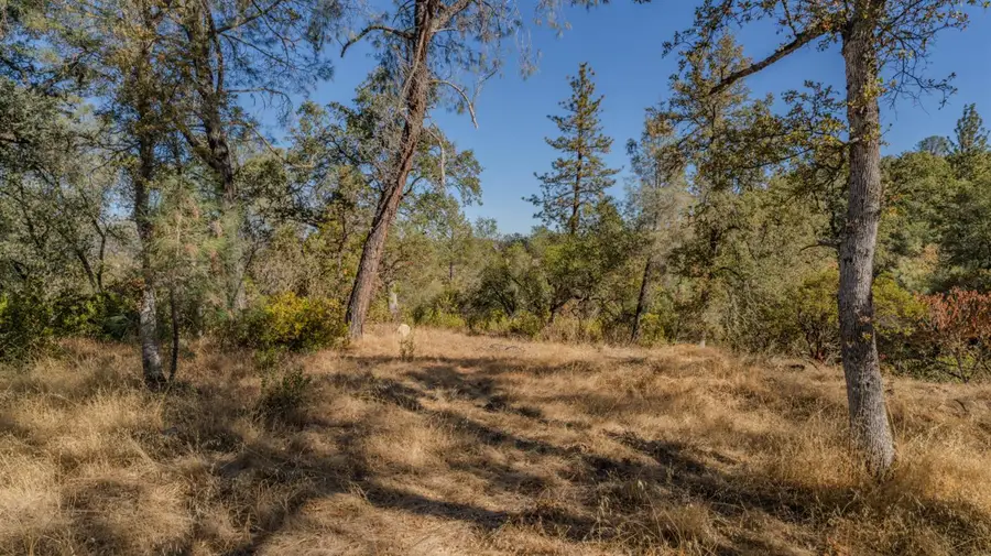0 Bell Road, Plymouth, CA 95669 - #2